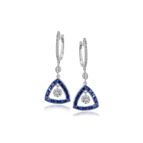 Zeghani Earrings Ze688