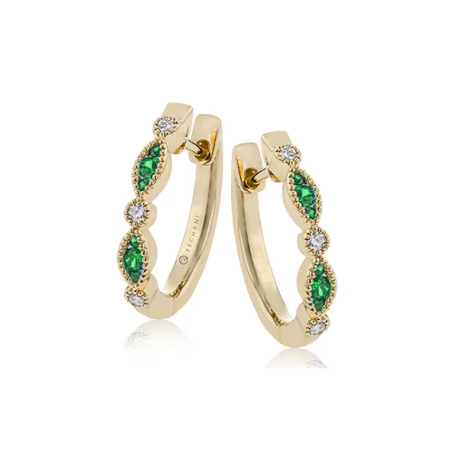 Zeghani Earrings Ze720-y