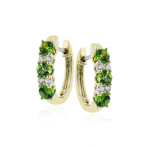 Zeghani Earrings Ze728-y