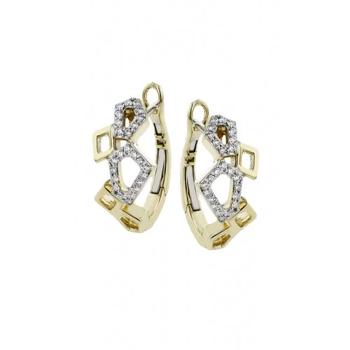 Zeghani Earrings Ze846