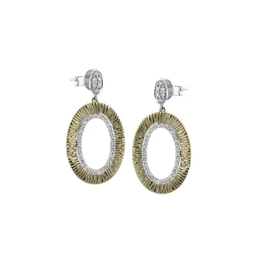 Zeghani Earrings Ze865