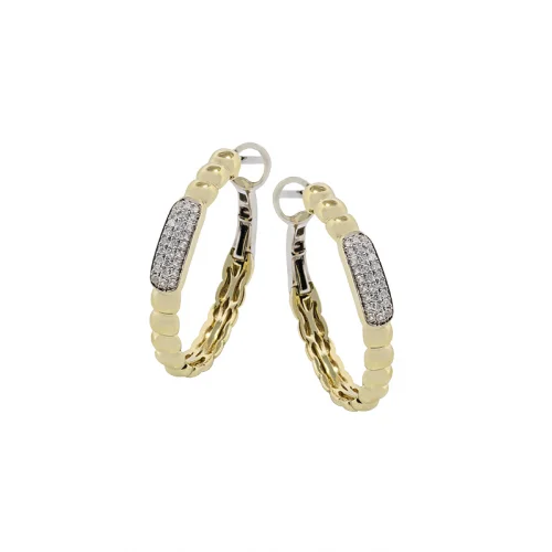 Zeghani Earrings Ze866