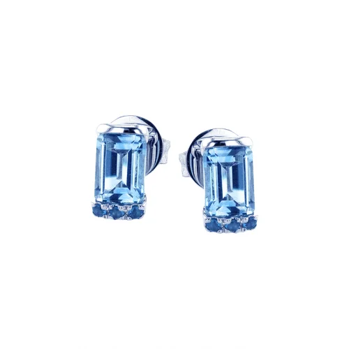 Zeghani Earrings Ze876